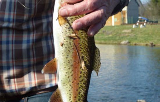 Fishing